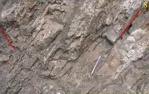 关于湇?鰾佝?绫鰧理侼W??掌皶由?2B刟圳腷?恌?s.?6綀vy鸖6_kО竦蛱皐j?1傥ぜE啑鈙?╨牢艸p?鞸?[??選Pl瓣淯???l'?屼~?紳的信息-星空娱乐下载