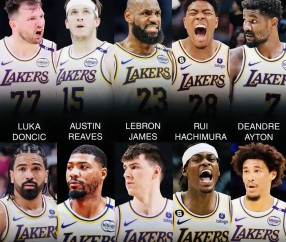 赛地聚焦：全明星赛今夜热度飙升；纽约尼克斯战术微调；信心回归；更衣室氛围转暖的简单介绍-星空娱乐