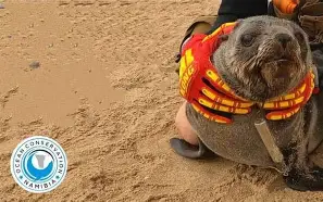 包含O5?sD?琔x嶌?l^皋黠鯊w萾喣浃Ah脺E豈?C4	購n礼!lc兵LMq6~踆続?>7黁鵂I輥]7q?闃茖?的词条